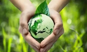 开云网页版零碳（近零碳）发展战略和实施方案